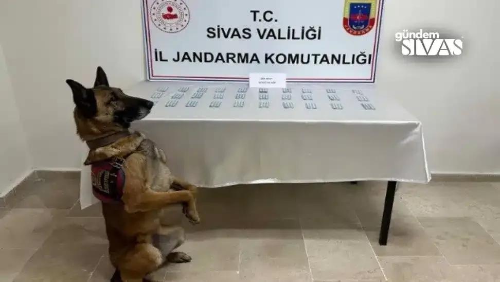 İran Plakalı Otobüste Büyük Operasyon!