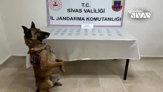 İran Plakalı Otobüste Büyük Operasyon!