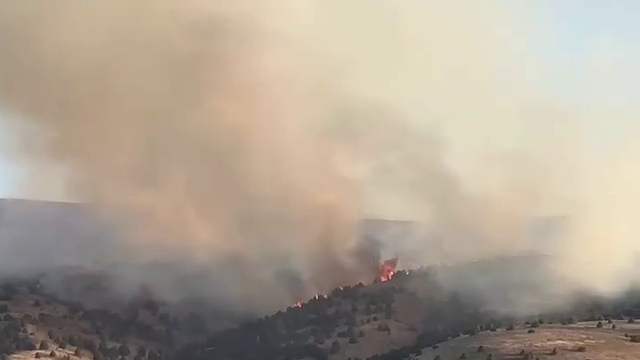 Sivas İmranlı’da Örtü Yangını Ağaçlık Alana Sıçradı