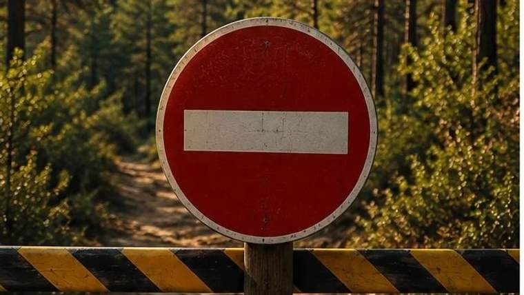 Kırmızı dairesel yasak işareti, orman yolunun girişinde duruyor.