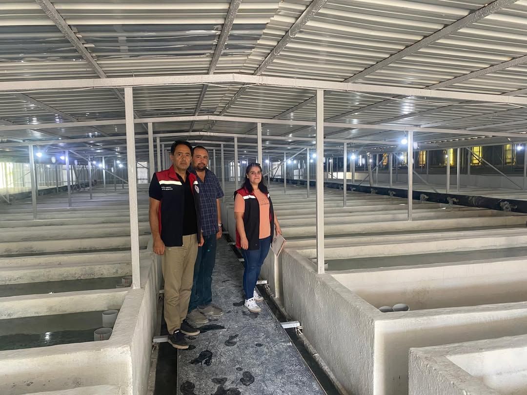 Sivas'ta İthal Alabalık Yumurtası Denetimi Yapıldı
