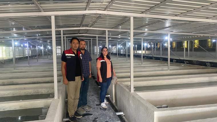 Bir denetim alanında üç kişi, alabalık yumurtalarının bulunduğu havuzların arasında duruyor.