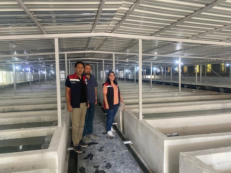 Sivas'ta İthal Alabalık Yumurtası Denetimi Yapıldı