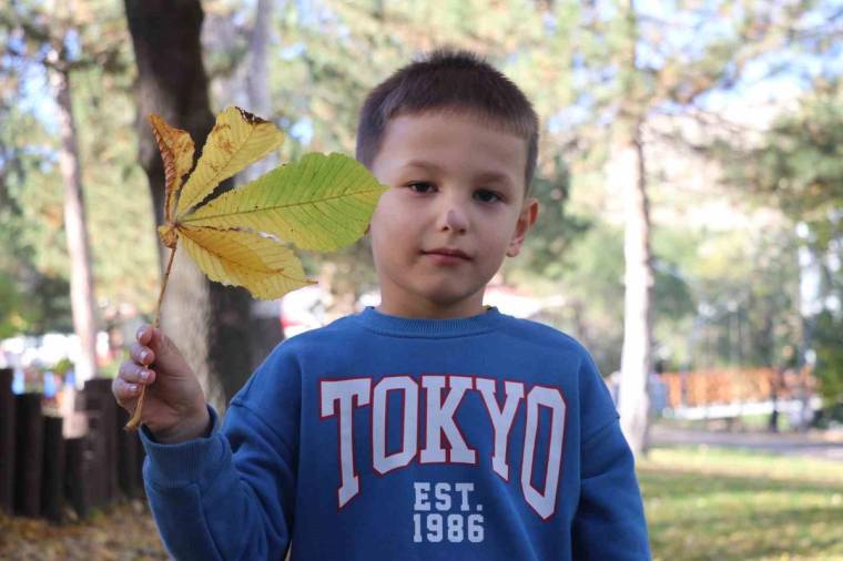 Ormanlık alanda bir çocuk, elinde sarı ve yeşil sonbahar yapraklarıyla kameraya bakıyor.
