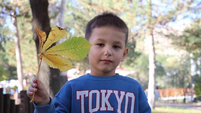 Sivas'ta Paşabahçe Mesire Alanı sonbaharda sessizliğe büründü