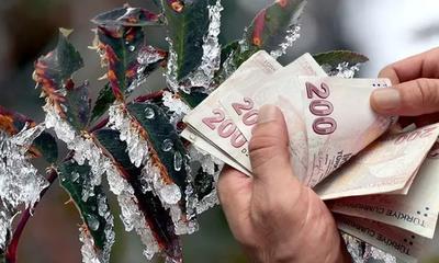 Zirai Don Mağduru Çiftçilere Destekleme Ödemesi Resmî Gazete’de Yayımlandı