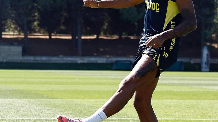 Fenerbahçe armalı antrenman kıyafeti giyen futbolcu, çim sahada topa vururken görülüyor.