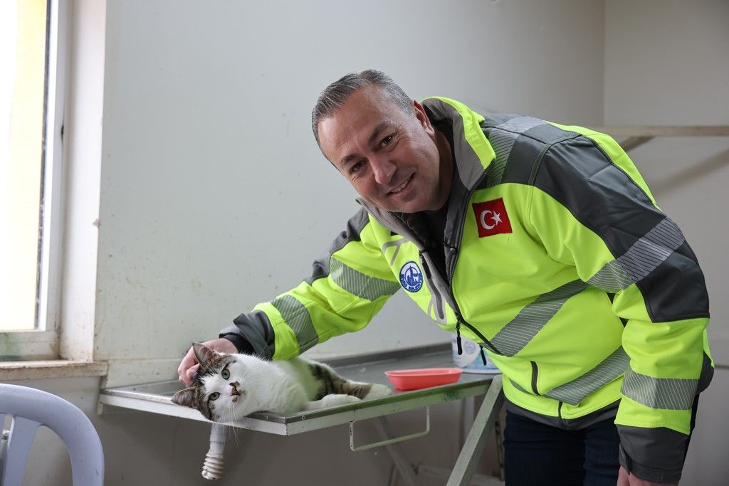 Yeşil yelek giymiş bir kişi, masanın üzerinde yatan bir kediyi okşuyor.