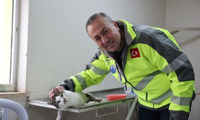 Sivas Hayvan Barınağı Dönüşüyor: Daha Doğal, Daha Güvenli!