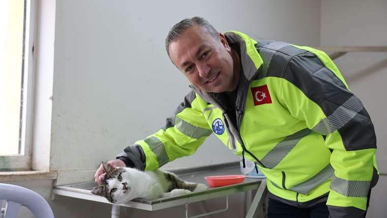 Yeşil yelek giymiş bir kişi, masanın üzerinde yatan bir kediyi okşuyor.