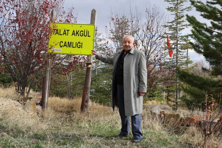 Ağaçlık alanda, üzerinde “Talat Akgül Çamlığı” yazan tabelanın yanında duran kişi görülüyor.