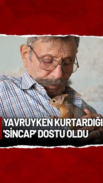 Adana'da Yalnız Yaşayan Hasan Amca'nın Kurtardığı Sincap ile Sıra Dışı Dostluğu