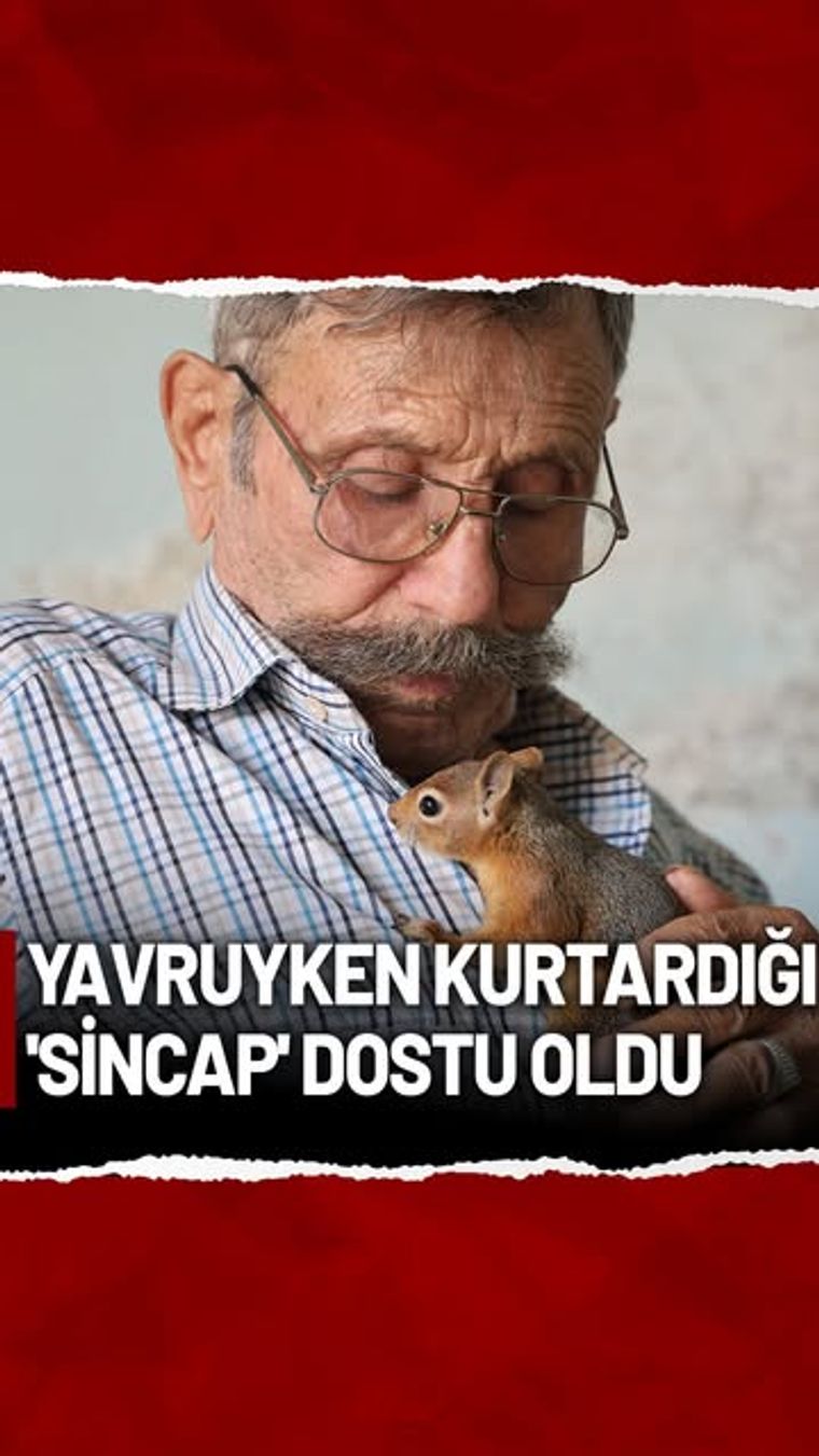 Adana'da Yalnız Yaşayan Hasan Amca'nın Kurtardığı Sincap ile Sıra Dışı Dostluğu