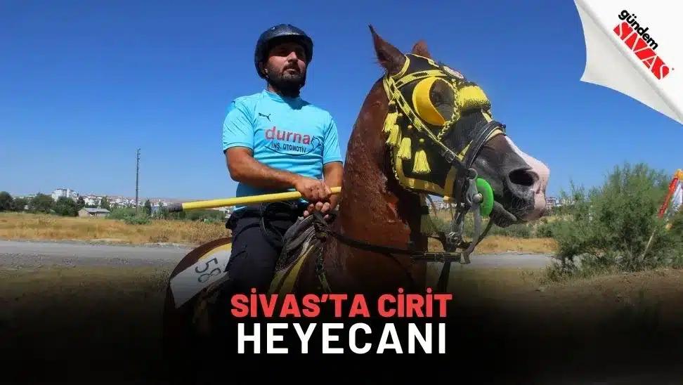 Sivas’ta Cirit Heyecanı