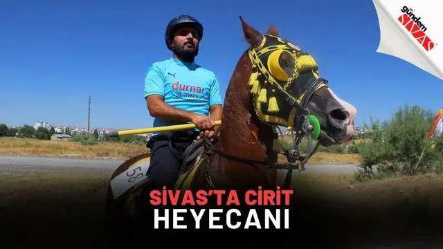 Sivas’ta Cirit Heyecanı