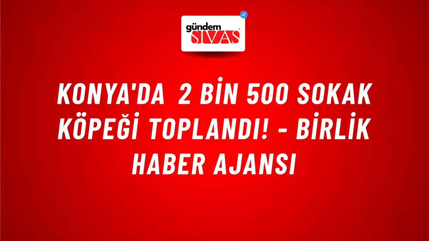 Konya'da 2 bin 500 sokak köpeği toplandı! - Birlik Haber Ajansı