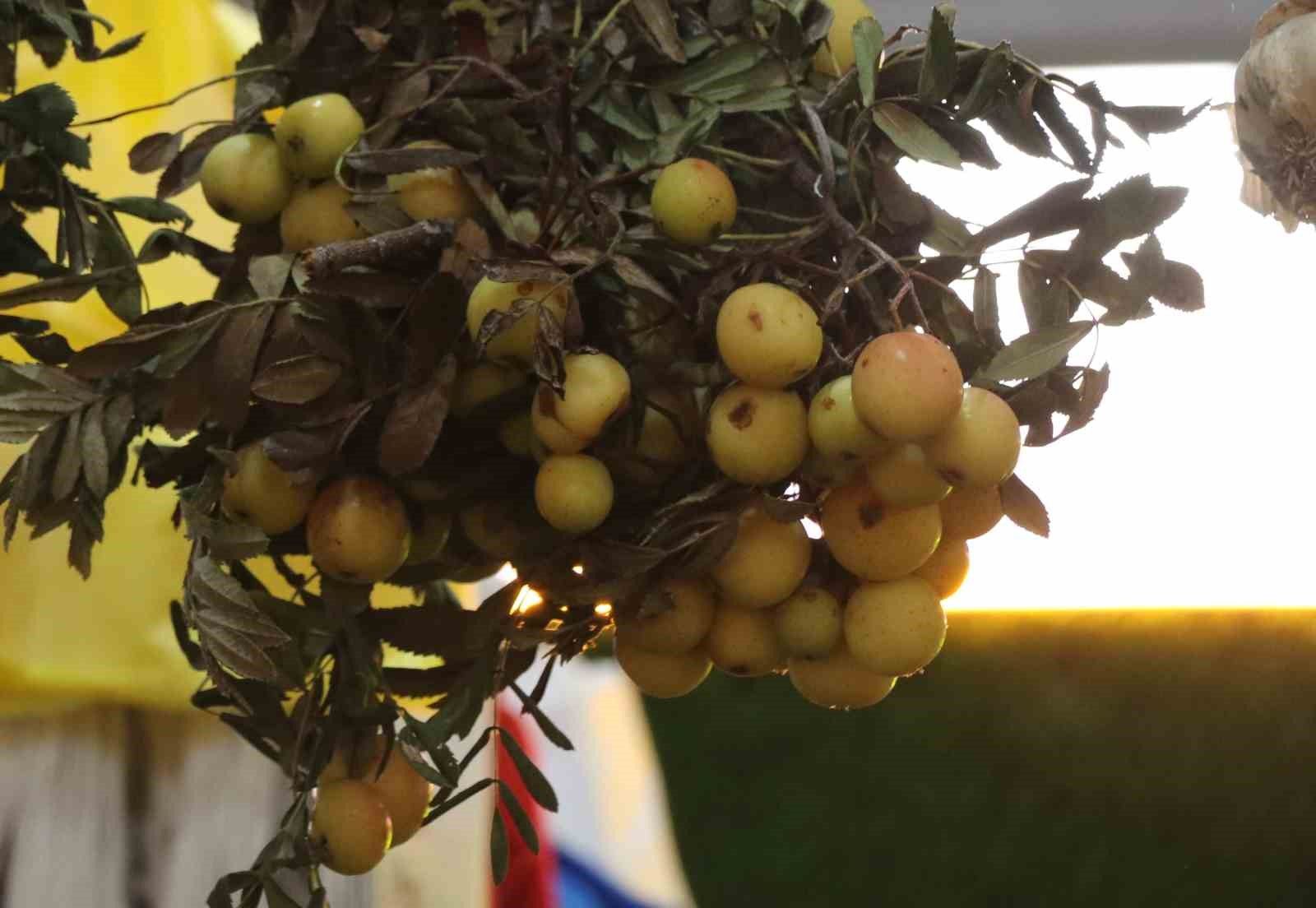 Üvez neden tezgâha gelmeden tükeniyor? Bu yıl ürün çok az