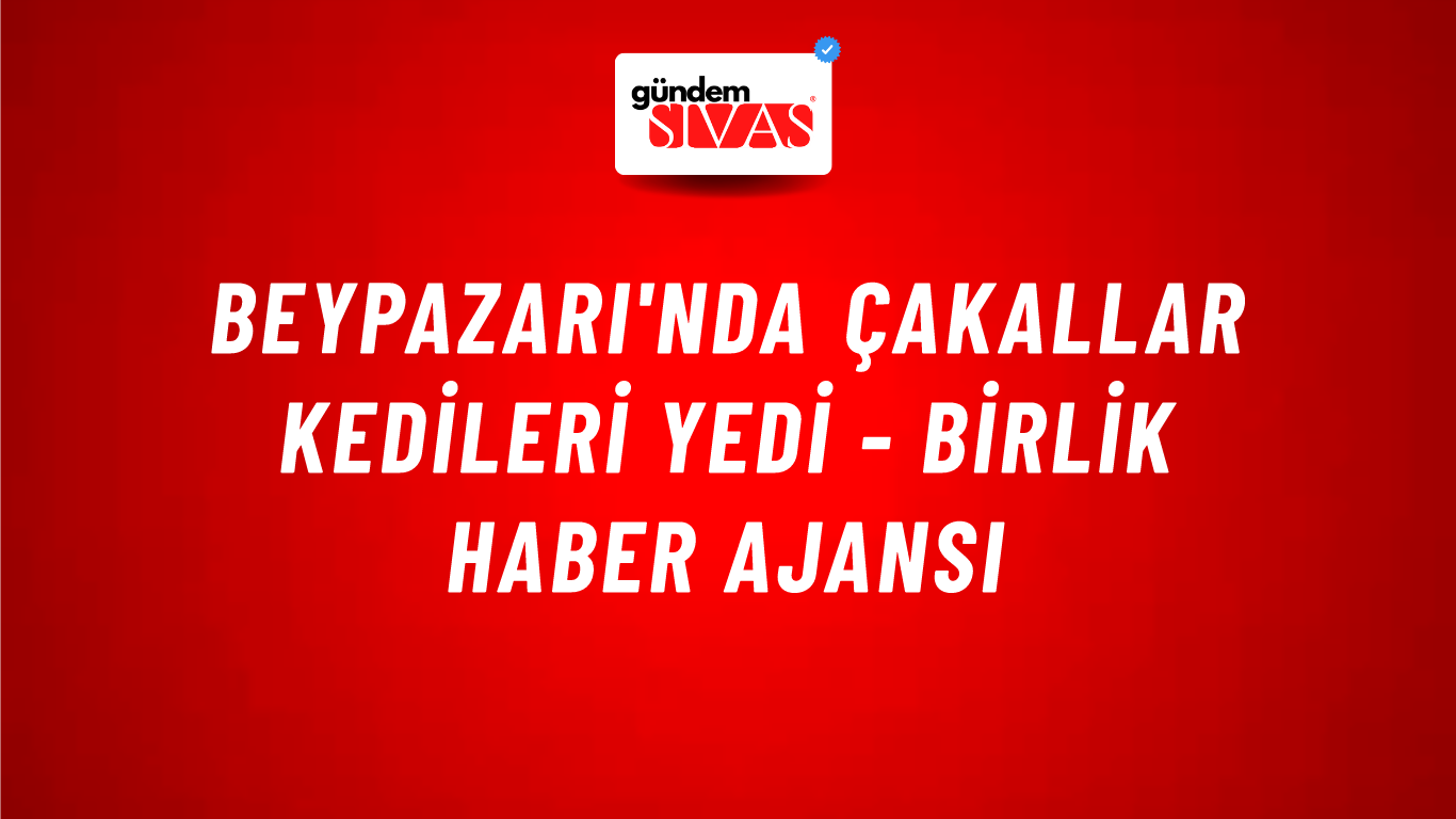 Beypazarı'nda çakallar kedileri yedi - Birlik Haber Ajansı