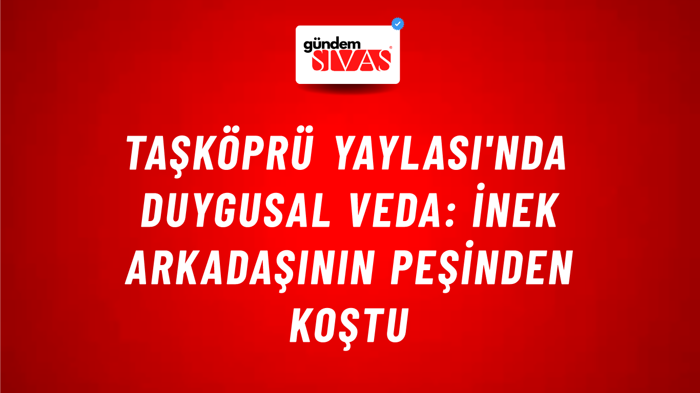 Taşköprü Yaylası'nda Duygusal Veda: İnek Arkadaşının Peşinden Koştu