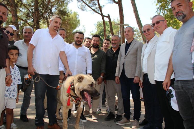 Kocaeli'de Sivas Rüzgarı: 4. Gardaşlık Buluşması Coşkuyla Gerçekleşti