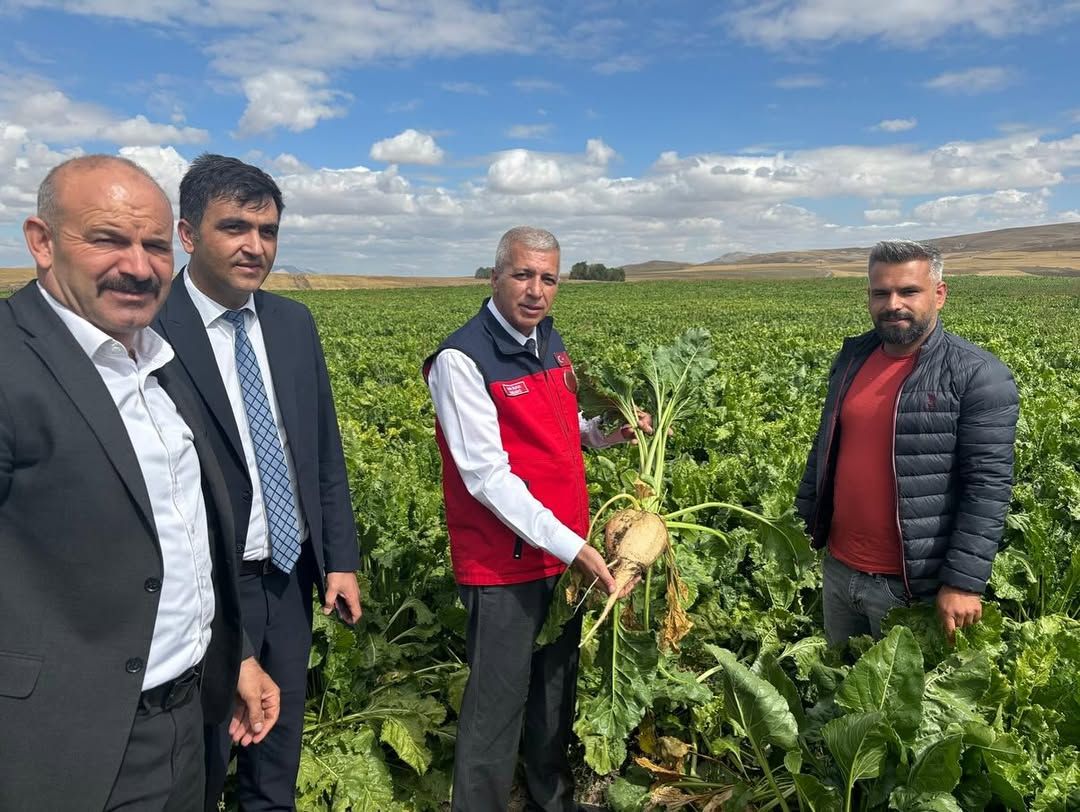 Sivas'ta Pancar Üretimi İncelemesi: İl Tarım Orman Müdürü Salih İnan Sahada