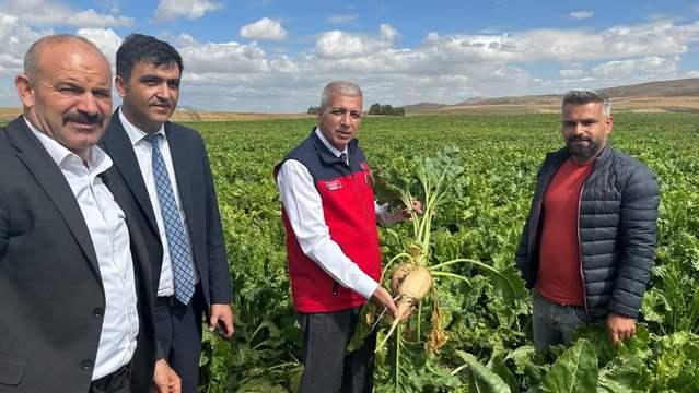 Sivas'ta Pancar Üretimi İncelemesi: İl Tarım Orman Müdürü Salih İnan Sahada