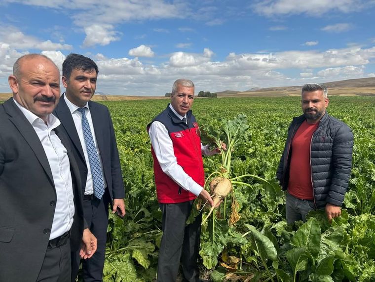 Sivas'ta Pancar Üretimi İncelemesi: İl Tarım Orman Müdürü Salih İnan Sahada