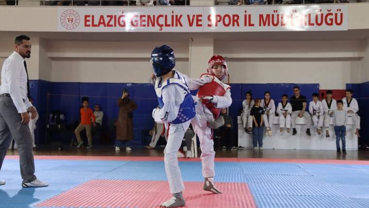 Elazığ’da 2 branşta final düdüğü çaldı - Birlik Haber Ajansı