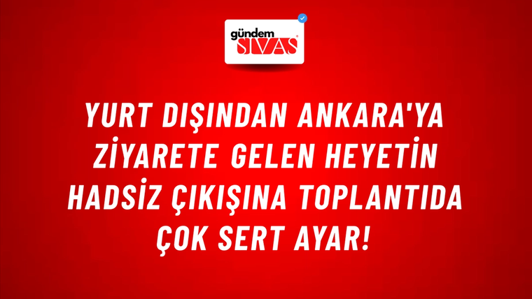 Yurt dışından Ankara'ya ziyarete gelen heyetin hadsiz çıkışına toplantıda çok sert ayar!