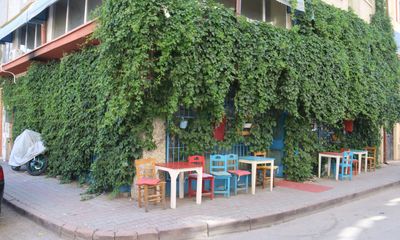 Sarmaşıklarla Kaplı Kafe: Doğayla İç İçe Bir Kahve Keyfi!