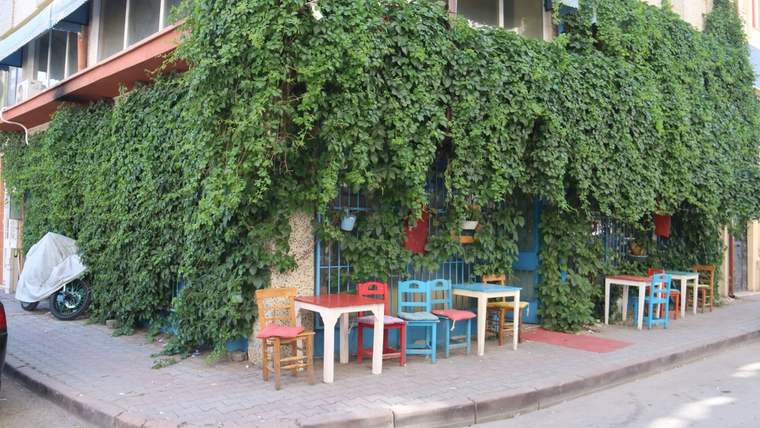 Sarmaşıklarla Kaplı Kafe: Doğayla İç İçe Bir Kahve Keyfi!