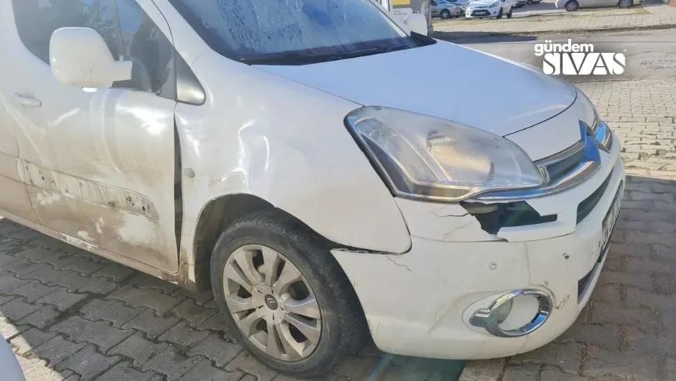Domuz Sürüsüne Çarpan Araç Ucuz Atlattı
