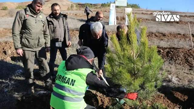 Sivas TSO'dan 10 Bin Fidanlık Dev Adım