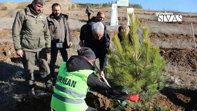 Ağaçlandırma alanında yeşil yelekli bir kişi fidan dikerken çevresindeki üç kişi onu izliyor.