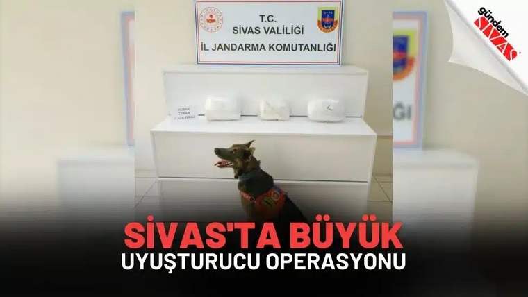 Üzerinde Sivas Valiliği ve İl Jandarma Komutanlığı yazan panonun önünde narkotik köpeği ve paketler bulunuyor.