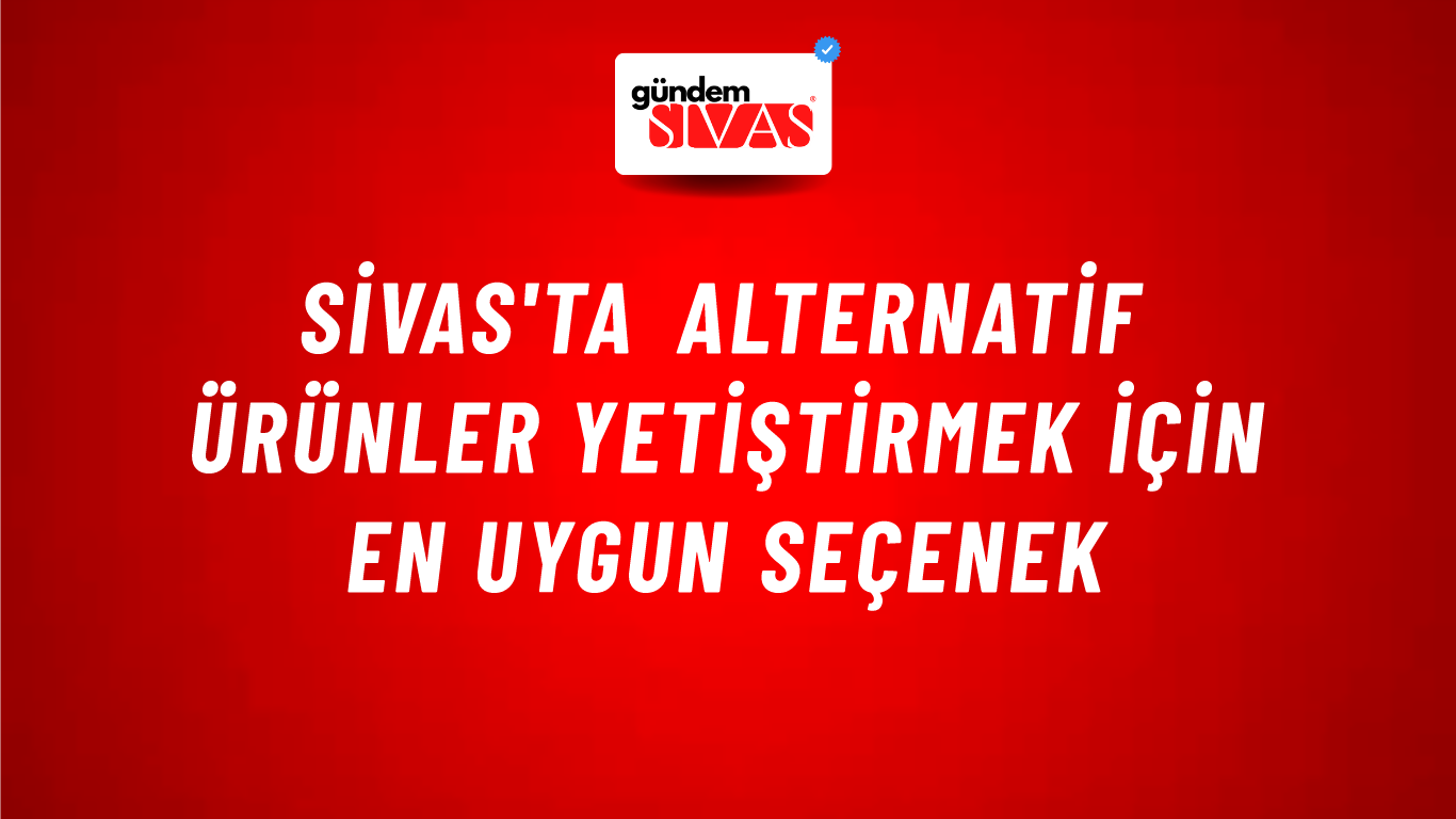 Sivas'ta Alternatif Ürünler Yetiştirmek İçin En Uygun Seçenek