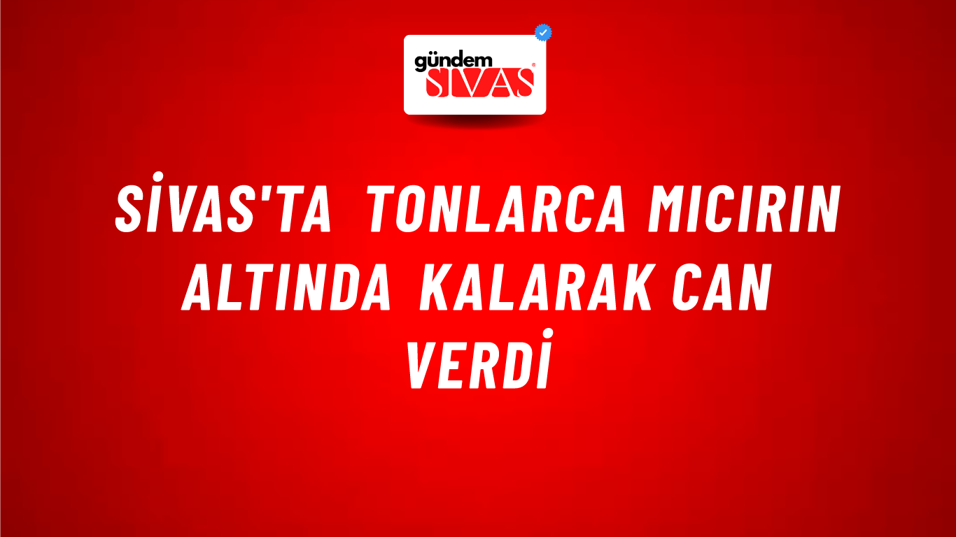 Sivas'ta Tonlarca Mıcırın Altında Kalarak Can Verdi