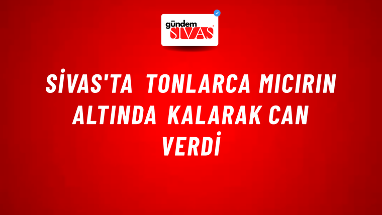 Sivas'ta Tonlarca Mıcırın Altında Kalarak Can Verdi