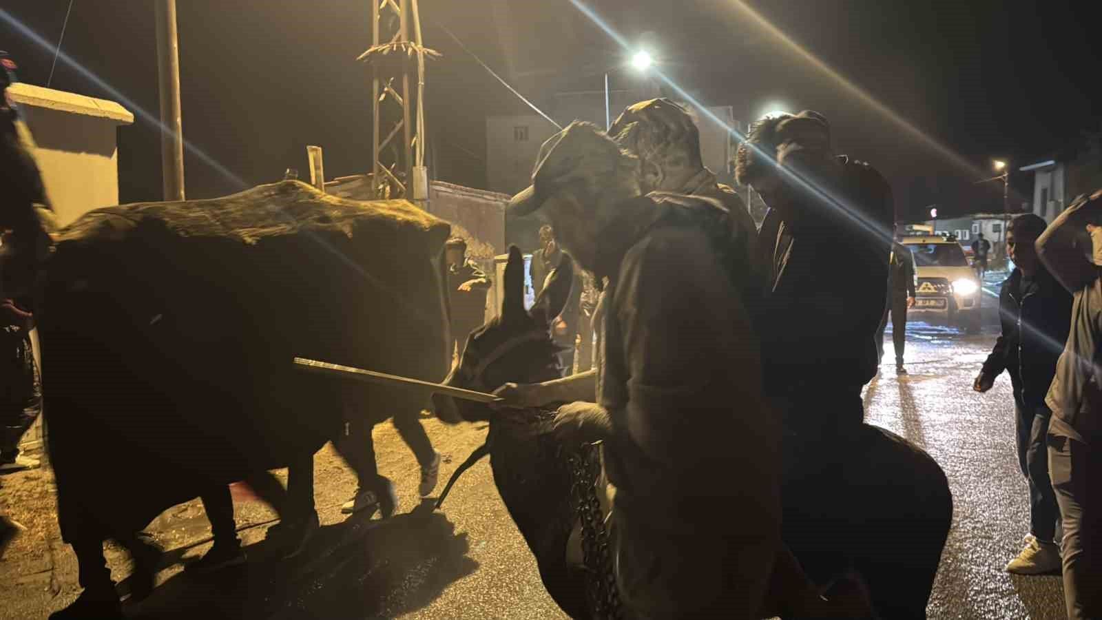 "Eşeğe bindirilir, un atılır, yumurta atılır" geleneği sürüyor