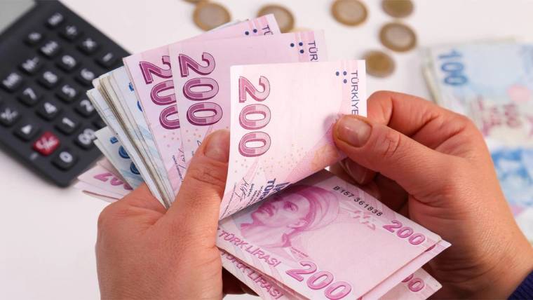 Eller, hesap makinesi ve madeni paraların yanında 200 liralık Türk banknotlarını sayıyor.
