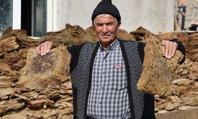 Soba delen yakıt geri döndü: Sıfır maliyetli tezek kesimi Sivas’ta başladı