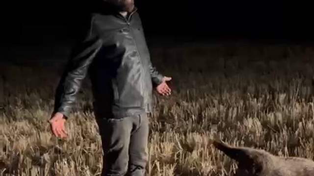 Yarısından çoğu telef oldu: Çayboyu'nda nöbet sürüyor