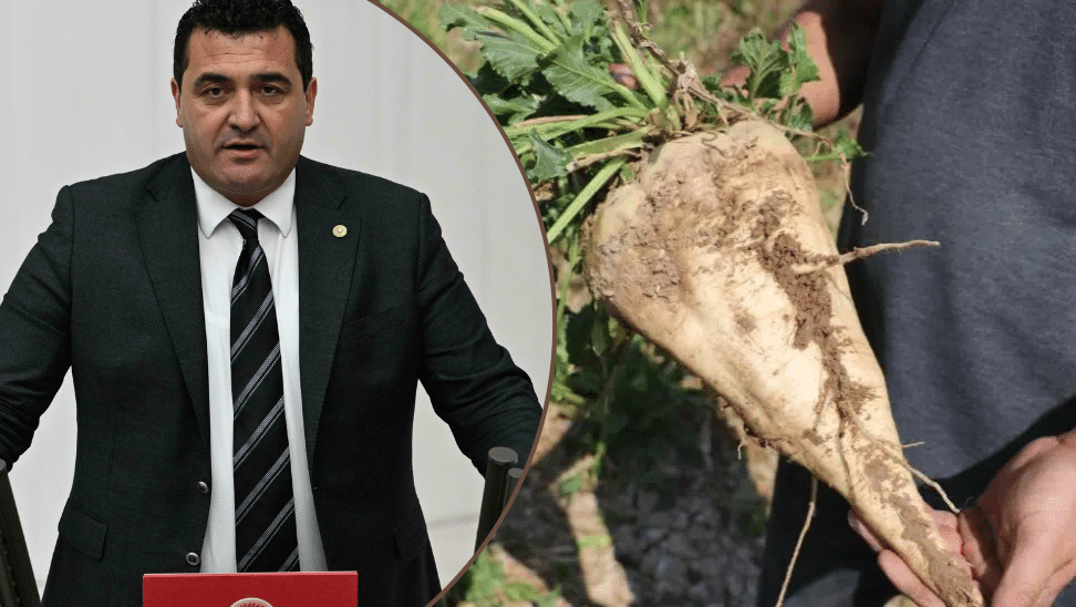 Üreticinin Dertleri Meclis Gündeminde