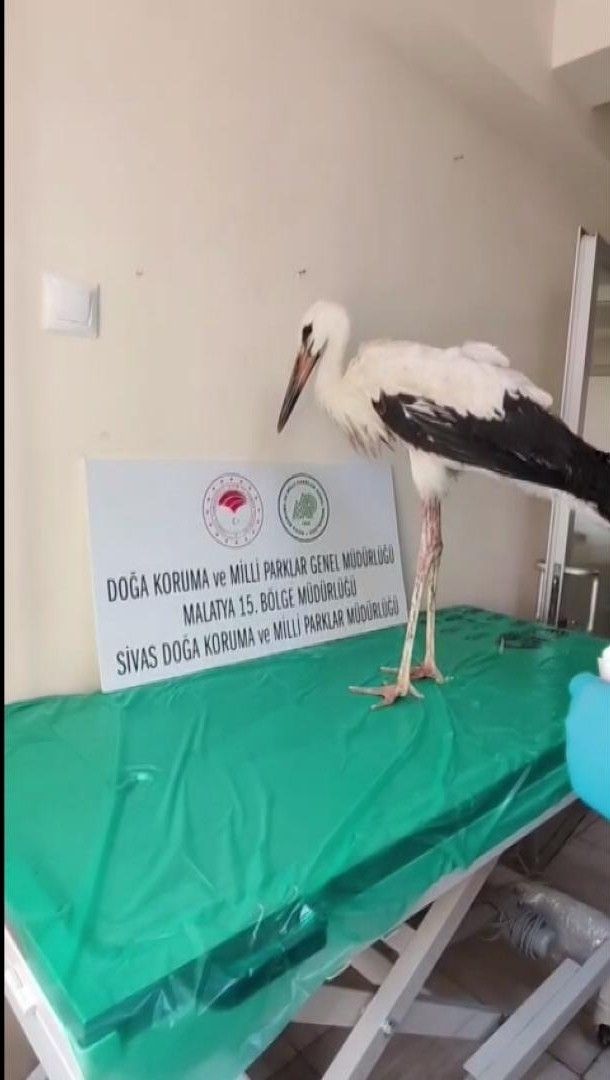 "kendi başına yaşamını sürdürebilmesi" için tedavi edildi
