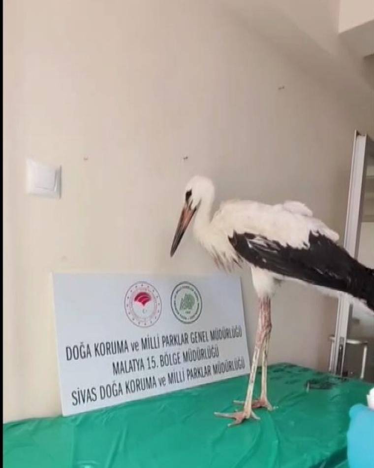 Yeşil örtülü muayene masasında duran beyaz leyleğin yanında kurum logolu bilgi panosu bulunuyor.
