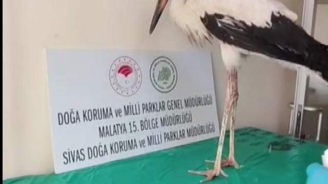 "kendi başına yaşamını sürdürebilmesi" için tedavi edildi