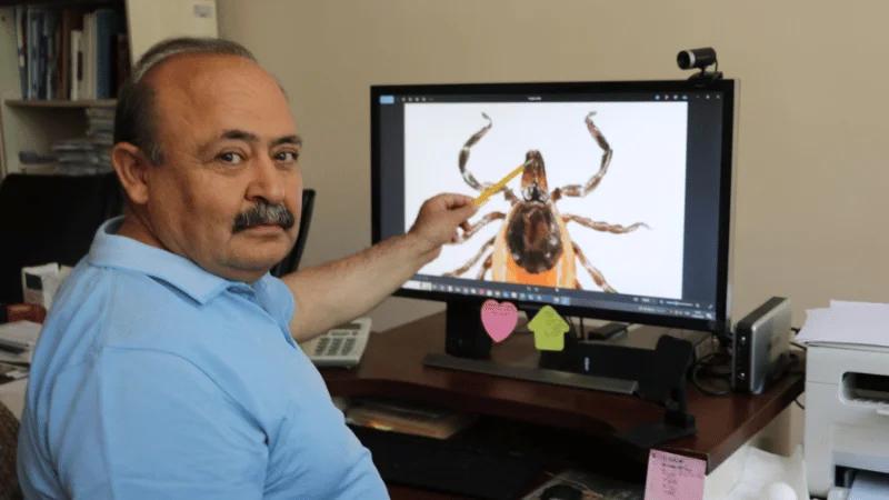 Uzman Uyardı: "Keneler Gölgeyi Sever, 10 Bin Yumurta Bırakır"