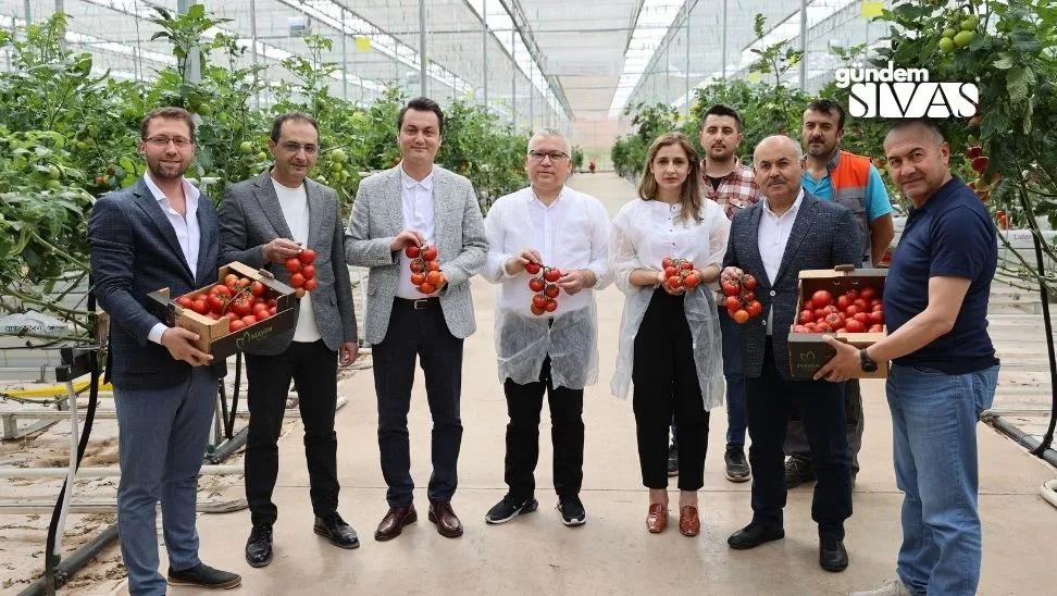 Sivas'tan Almanya ve İtalya'ya Gönderiliyor