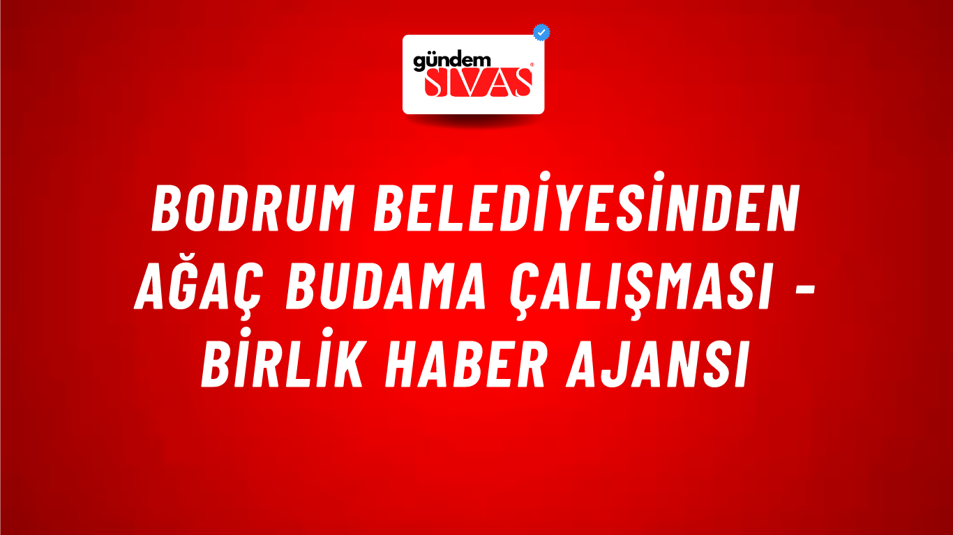 Bodrum Belediyesinden ağaç budama çalışması - Birlik Haber Ajansı