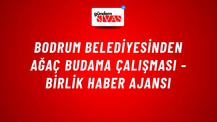 Bodrum Belediyesinden ağaç budama çalışması - Birlik Haber Ajansı